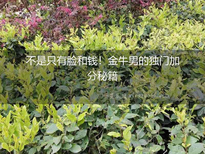不是只有臉和錢！金牛男的獨(dú)門加分秘籍