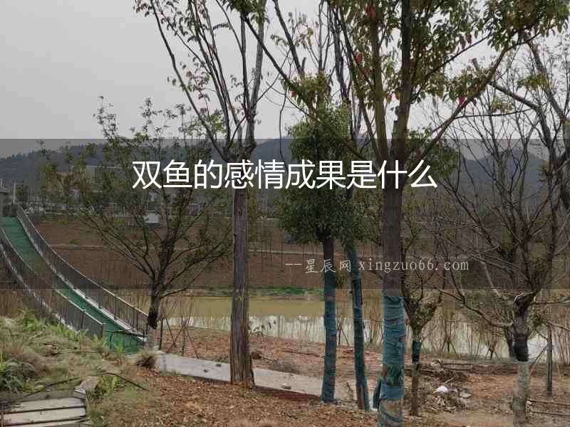 雙魚的感情成果是什么