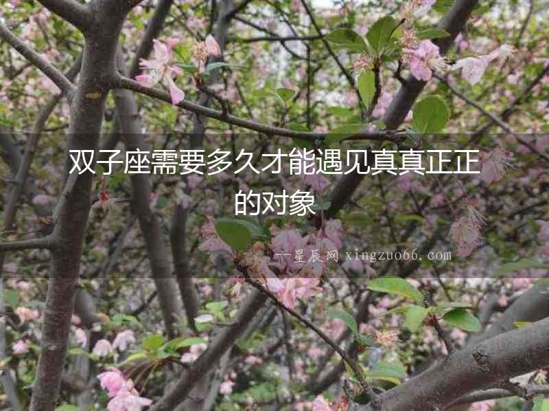 雙子座需要多久才能遇見真真正正的對象