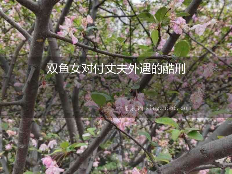 雙魚女對(duì)付丈夫外遇的酷刑