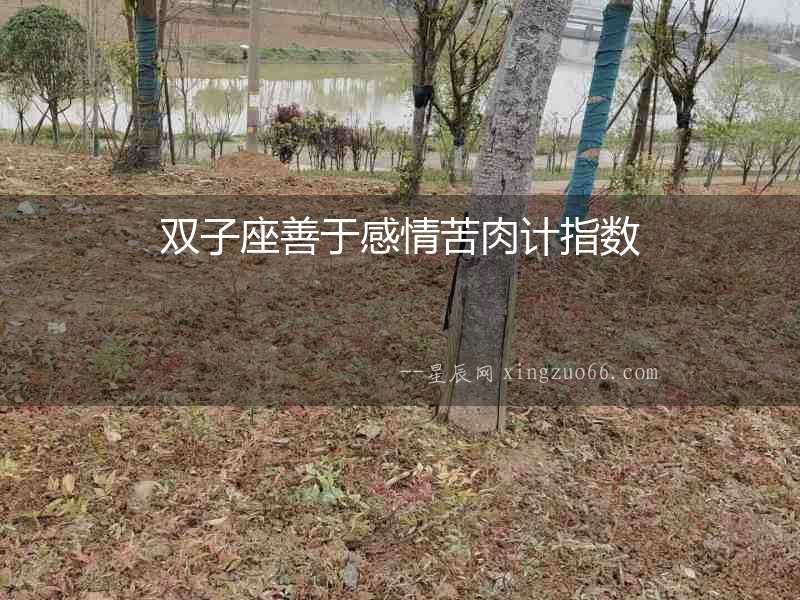 雙子座善于感情苦肉計指數