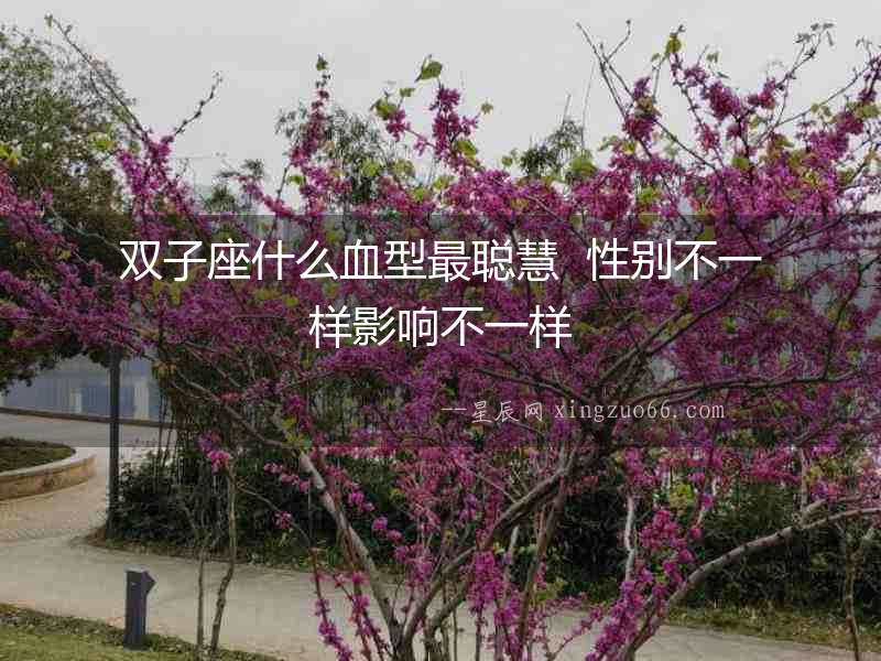 雙子座什么血型最聰慧  性別不一樣影響不一樣