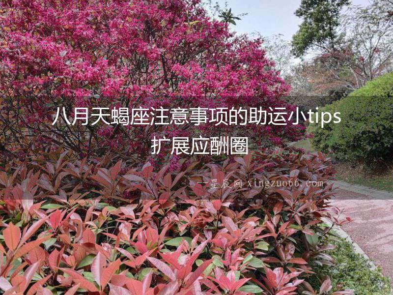八月天蝎座注意事項的助運小tips 擴展應酬圈