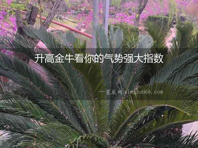 升高金牛看你的氣勢強大指數(shù)