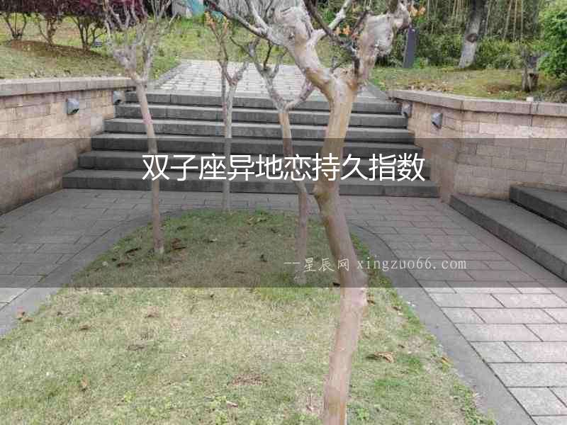 雙子座異地戀持久指數