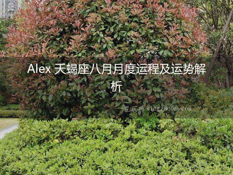 Alex 天蝎座八月月度運(yùn)程及運(yùn)勢解析