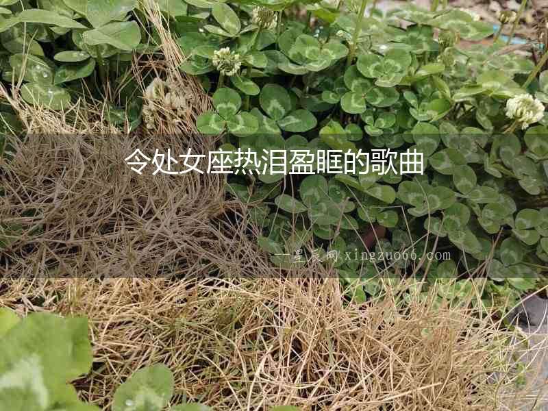 令處女座熱淚盈眶的歌曲