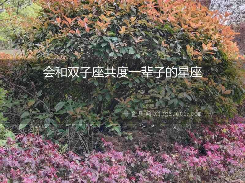 會和雙子座共度一輩子的星座
