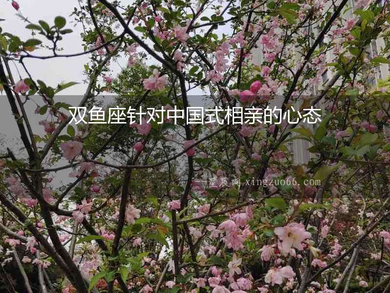 雙魚座針對中國式相親的心態