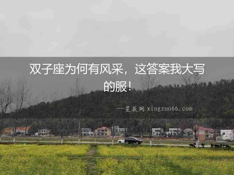 雙子座為何有風采，這答案我大寫的服！