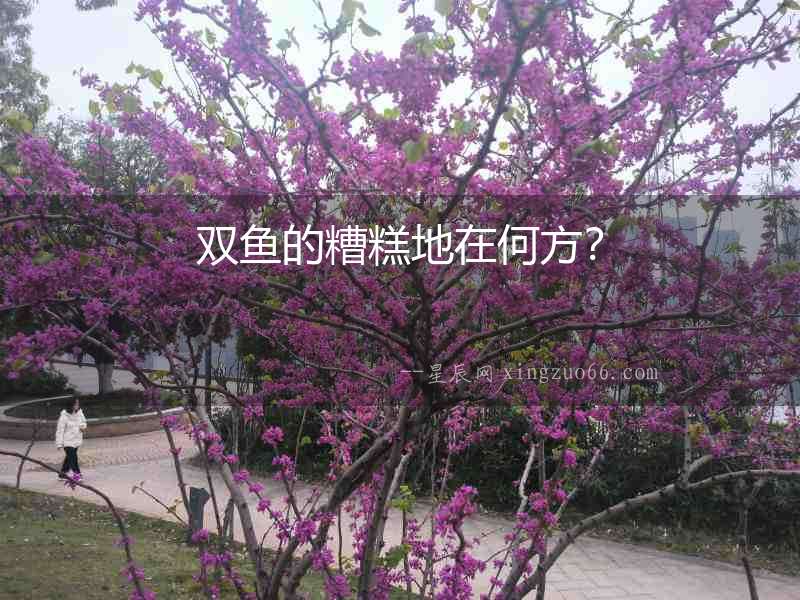 雙魚的糟糕地在何方？
