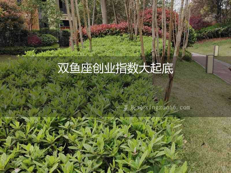 雙魚座創(chuàng)業(yè)指數(shù)大起底