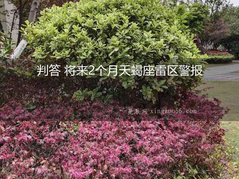 判答 將來2個月天蝎座雷區(qū)警報