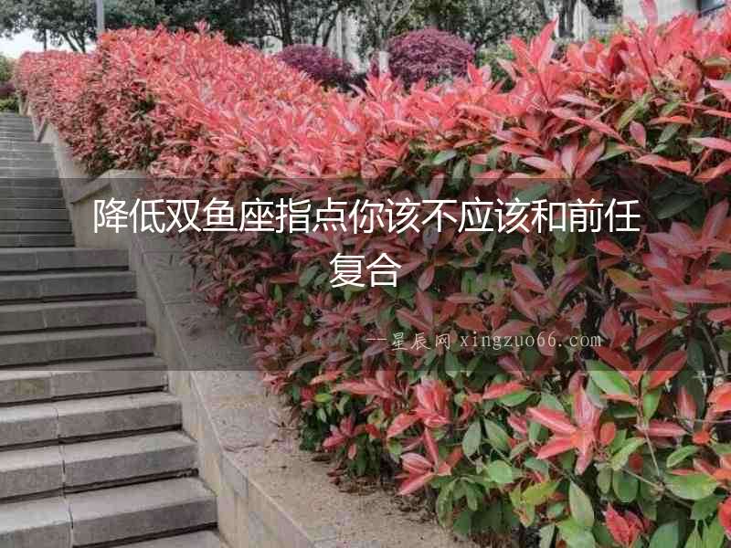 降低雙魚(yú)座指點(diǎn)你該不應(yīng)該和前任復(fù)合