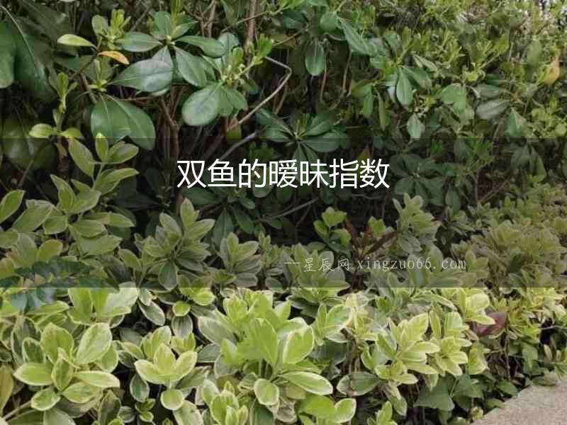 雙魚的曖昧指數
