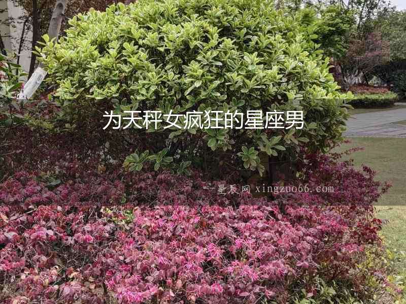 為天秤女瘋狂的星座男