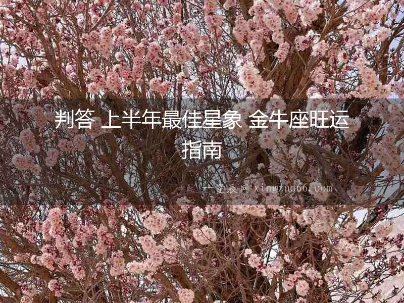判答 上半年最佳星象 金牛座旺運指南