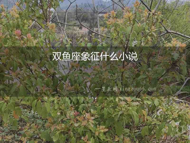 雙魚(yú)座象征什么小說(shuō)
