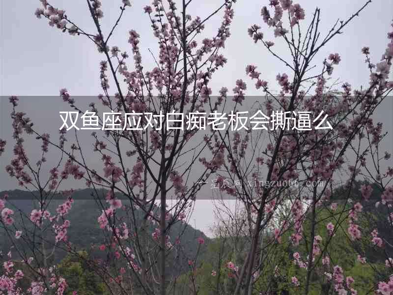 雙魚座應對白癡老板會撕逼么