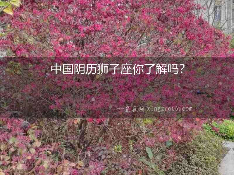 中國陰歷獅子座你了解嗎？