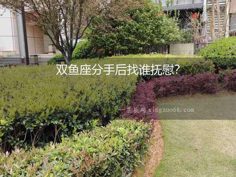 雙魚座分手后找誰撫慰？