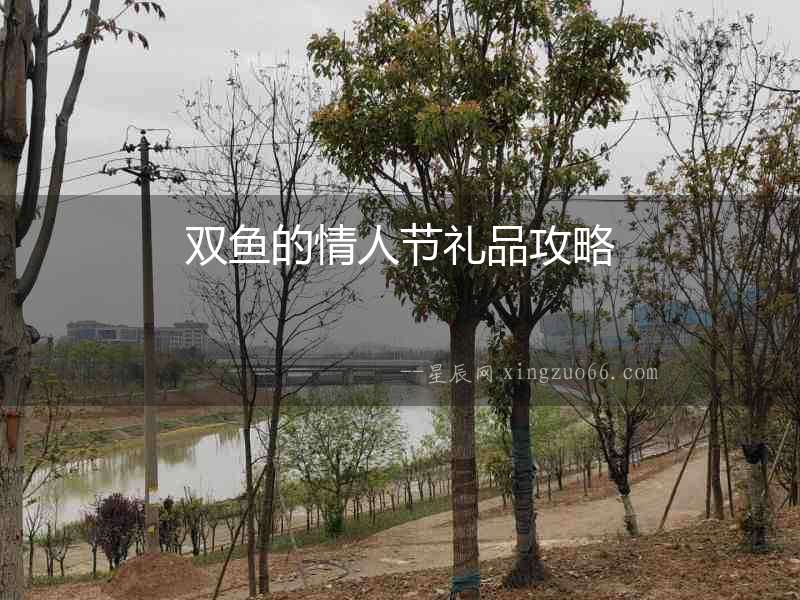 雙魚的情人節(jié)禮品攻略