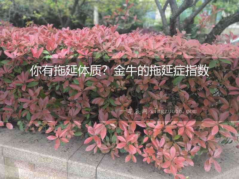 你有拖延體質(zhì)？金牛的拖延癥指數(shù)