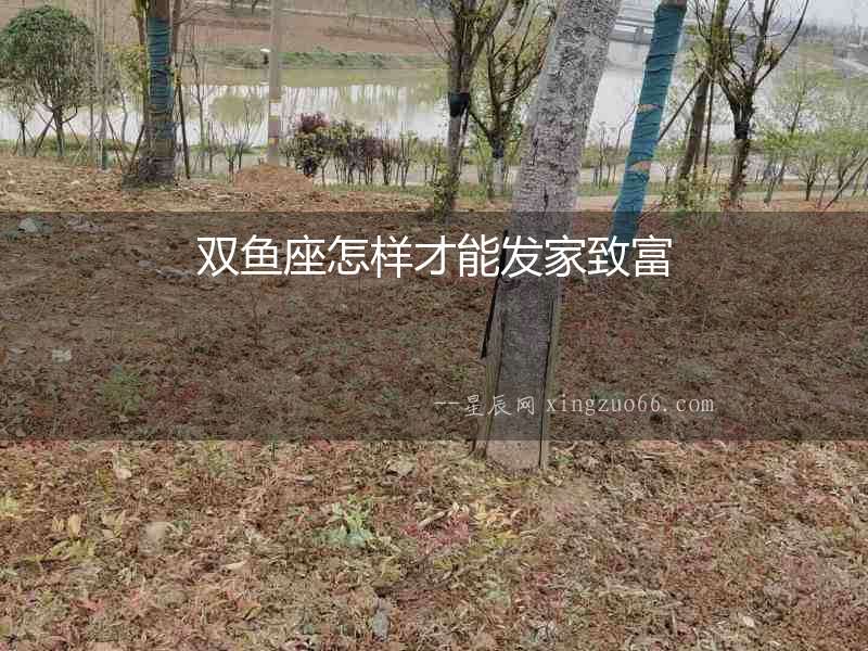 雙魚(yú)座怎樣才能發(fā)家致富
