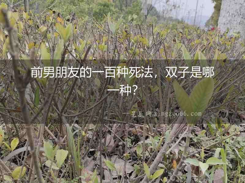 前男朋友的一百種死法，雙子是哪一種？
