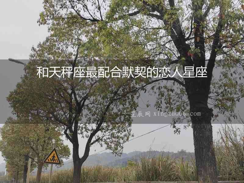 和天秤座最配合默契的戀人星座