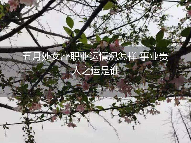 五月處女座職業(yè)運情況怎樣 事業(yè)貴人之運是誰