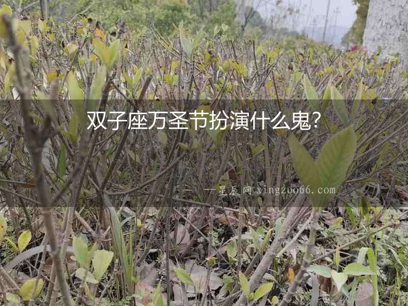 雙子座萬圣節(jié)扮演什么鬼？