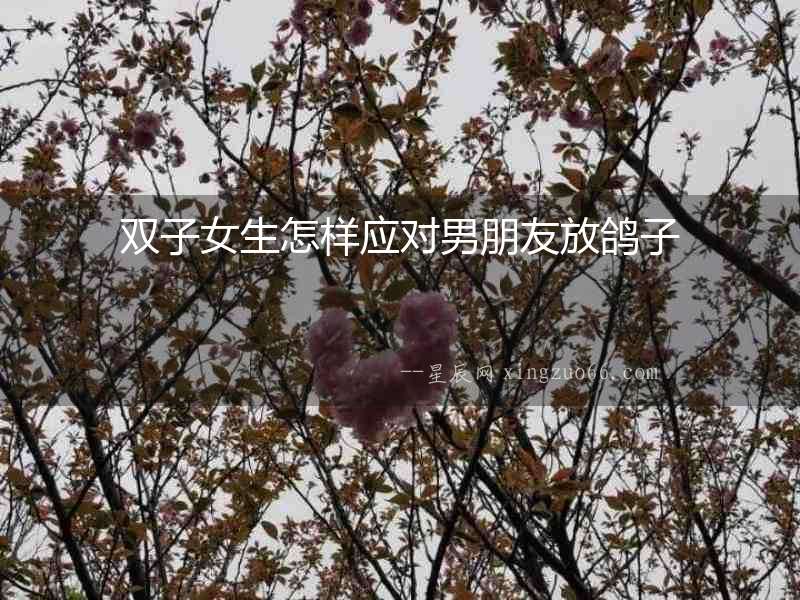 雙子女生怎樣應(yīng)對男朋友放鴿子