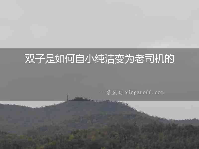雙子是如何自小純潔變為老司機的