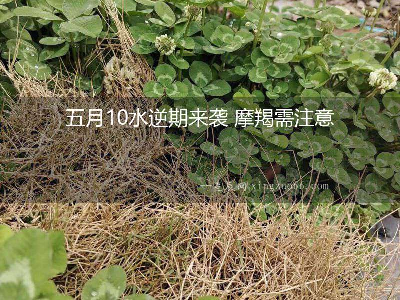 五月10水逆期來襲 摩羯需注意