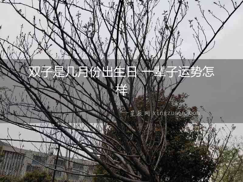 雙子是幾月份出生日 一輩子運勢怎樣