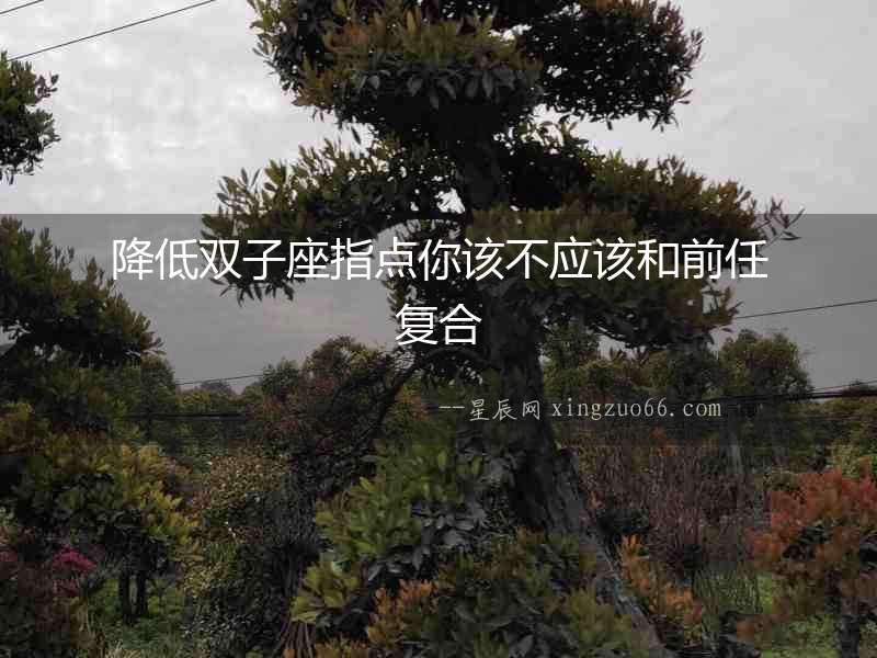 降低雙子座指點你該不應該和前任復合