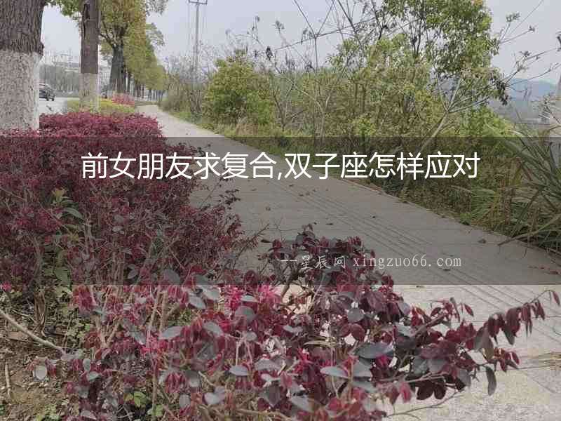 前女朋友求復合,雙子座怎樣應對