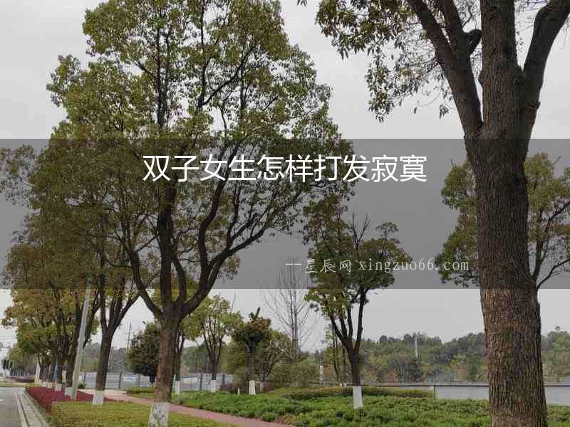 雙子女生怎樣打發寂寞