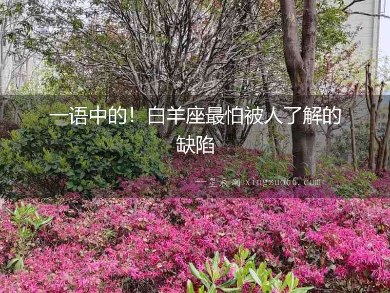 一語(yǔ)中的！白羊座最怕被人了解的缺陷