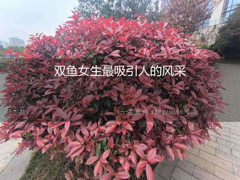 雙魚女生最吸引人的風(fēng)采