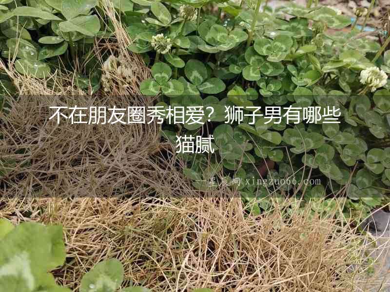 不在朋友圈秀相愛？獅子男有哪些貓膩