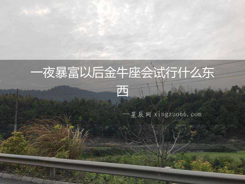一夜暴富以后金牛座會試行什么東西