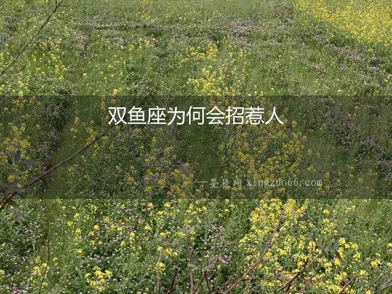 雙魚座為何會招惹人