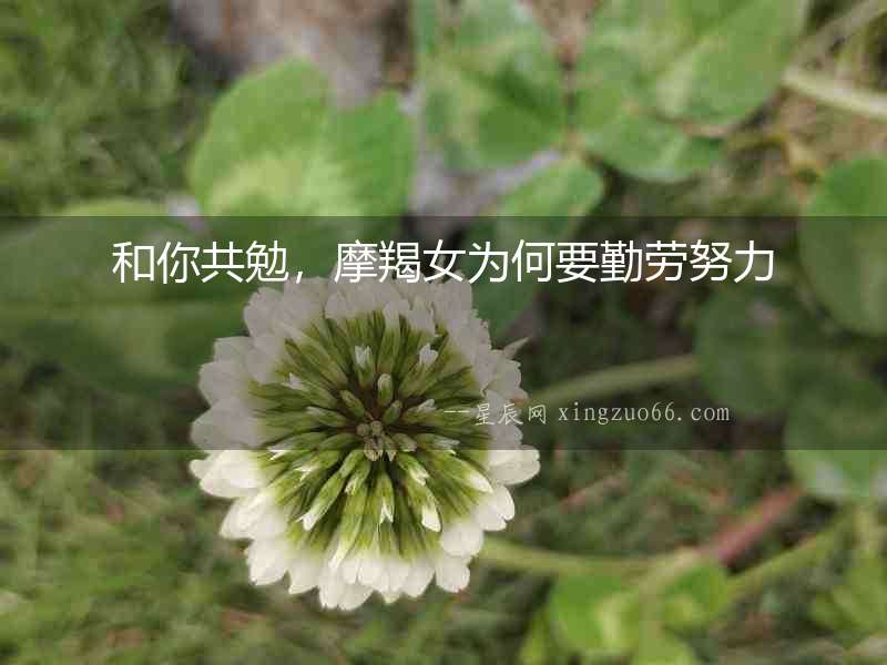 和你共勉，摩羯女為何要勤勞努力