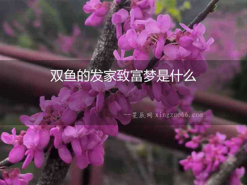 雙魚的發家致富夢是什么