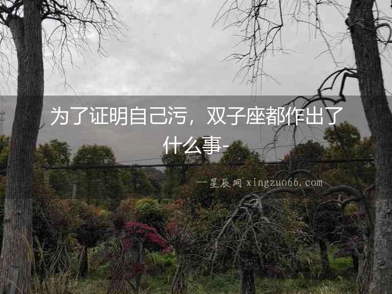 為了證明自己污，雙子座都作出了什么事-