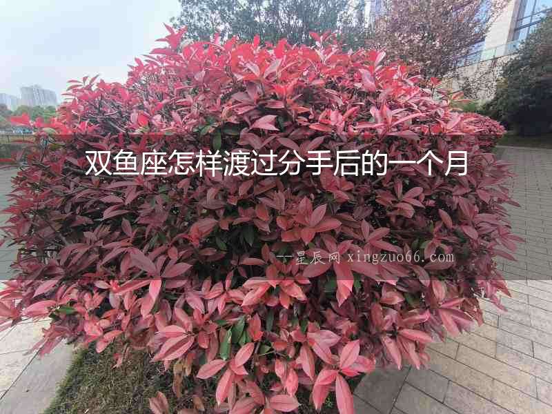 雙魚座怎樣渡過分手后的一個月