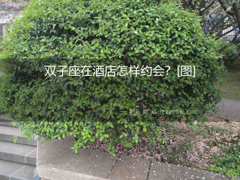 雙子座在酒店怎樣約會？[圖]