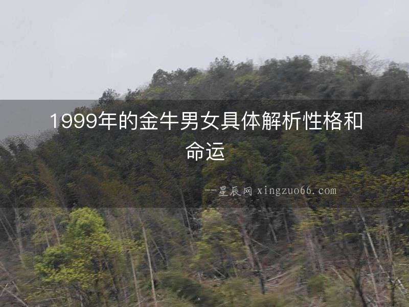 1999年的金牛男女具體解析性格和命運